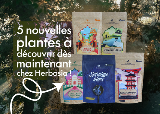 Découvrez la spiruline bleue, ashwagandha, moringa et les autres nouvelles plantes !
