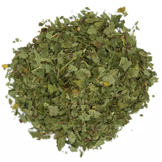 Feuilles de cassis, plante européenne du confort articulaire, L'Herboristerie Dufayel