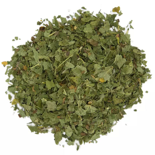 Feuilles de cassis, plante européenne du confort articulaire, L'Herboristerie Dufayel
