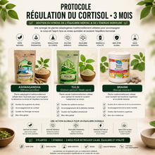 PROTOCOLE RÉGULATION DU CORTISOL • 3 MOIS