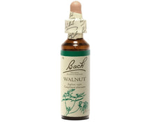 Fleurs de Bach Original – Walnut