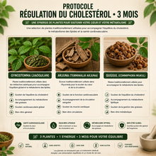 PROTOCOLE RÉGULATION DU CHOLESTÉROL • 3 MOIS