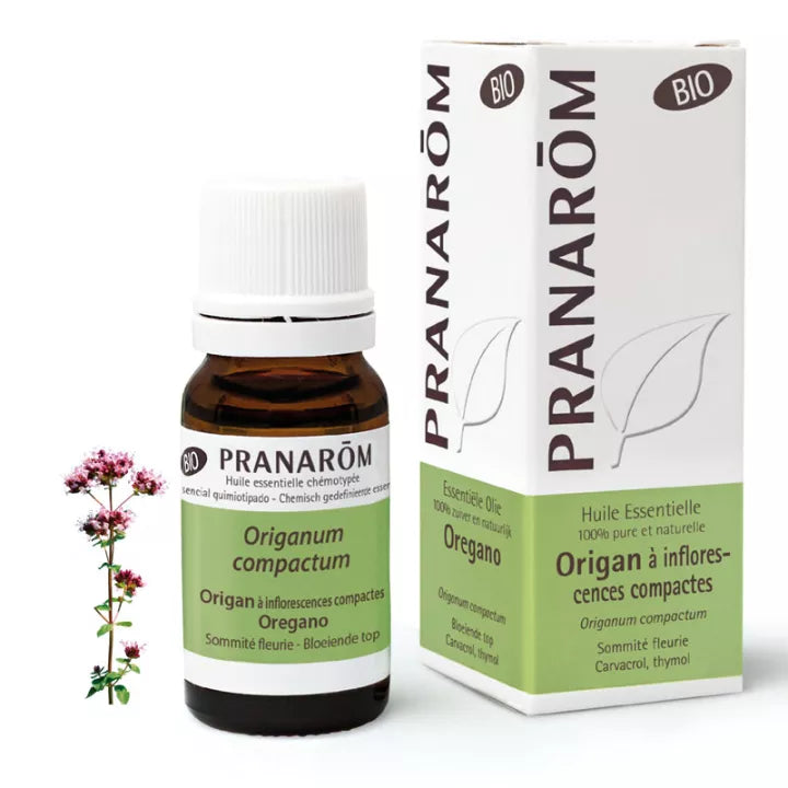 Pranarôm Huile Essentielle Origan Compact Bio 10 ml