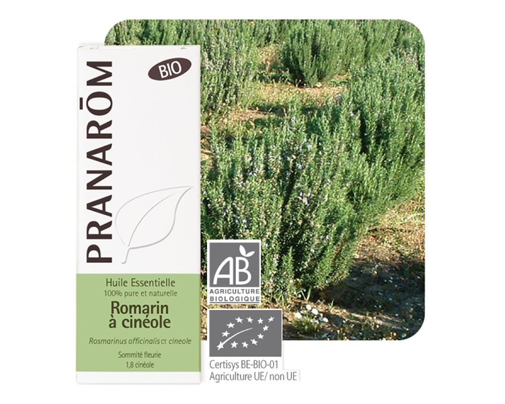 Pranarom – Huile Essentielle Bio Romarin Officinal
