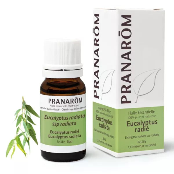 Pranarom – Huile Essentielle d'Eucalyptus Radié