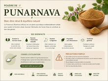 poudre de punarnava