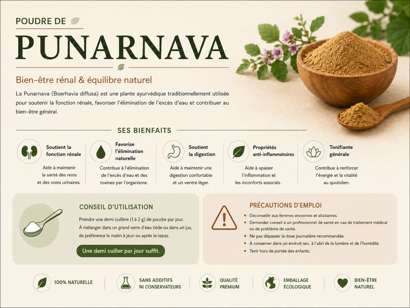 poudre de punarnava