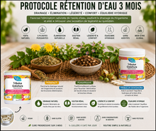 PROTOCOLE RÉTENTION D’EAU • 3 MOIS