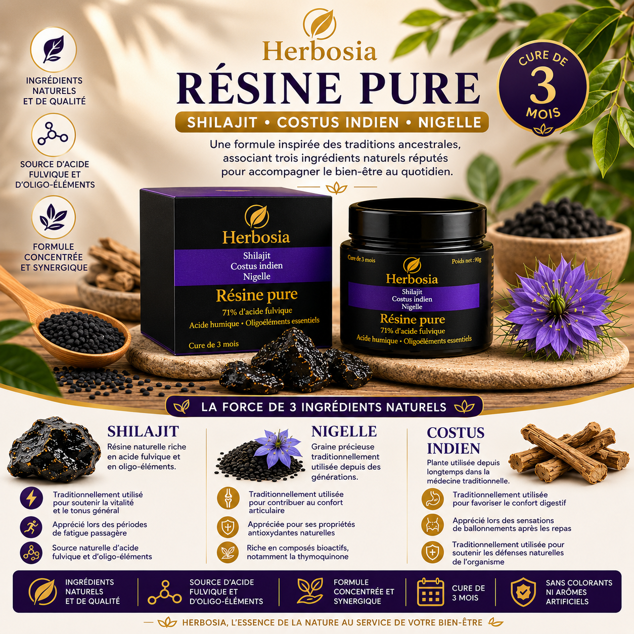 Shilajit Costus Nigella - Pure Resin Formula 50g - Natural Triple Extract Premium - French Quality
