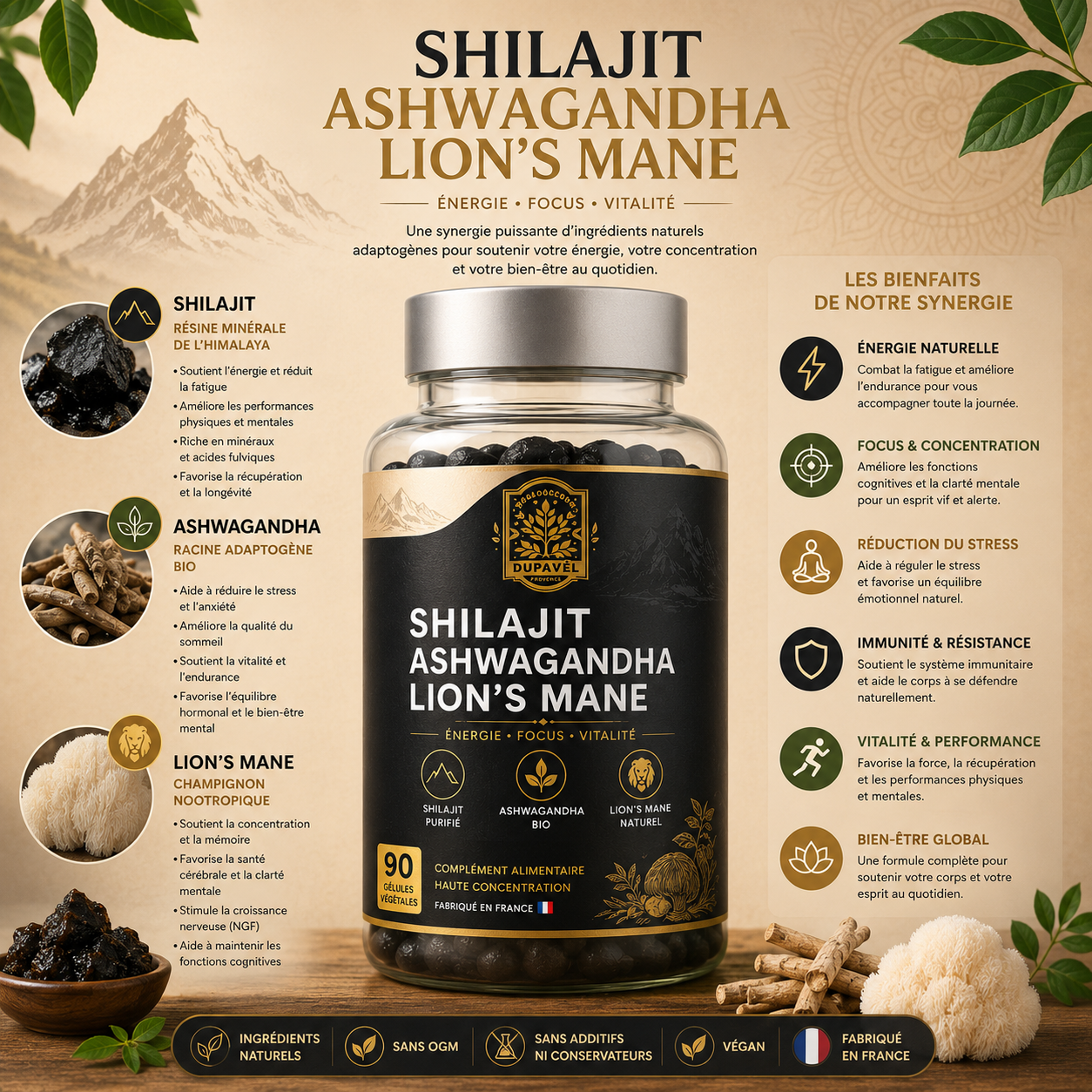 Shilajit, Ashwagandha & Lion’s Mane – Énergie, Stress & Focus