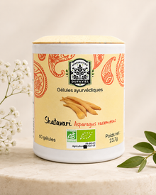 Shatavari gélules ayurvédique