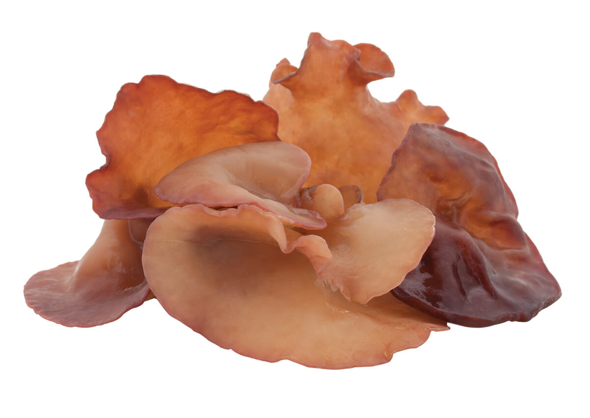 Oreille de Judas - Champignon séché 100g