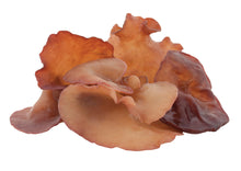 Oreille de Judas - Champignon séché 100g