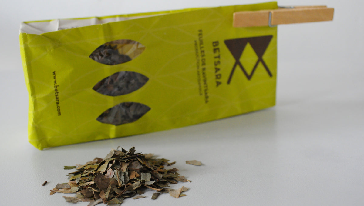 Feuilles de Ravintsara en vrac pour infusion