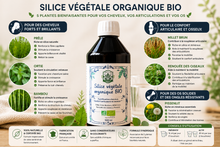 Silice Végétal  organique 100% plantes BIO DUFAYEL cheveux, confort articulaire et osseux