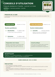 PROTOCOLE RÉSISTANCE À L’INSULINE • 3 MOIS