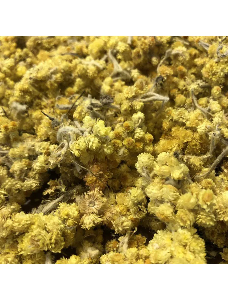 Immortelle Fleur