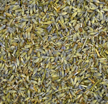 Lavande Officinale Fleur