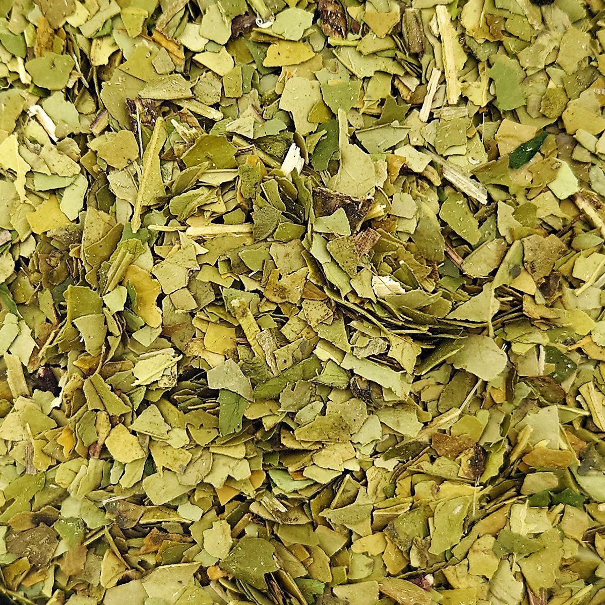 Maté Vert Feuille