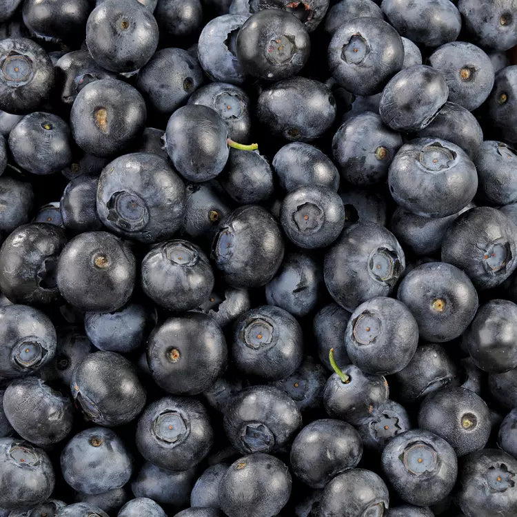 Myrtille Fruit