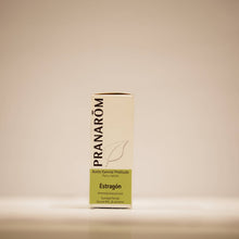 Pranarôm – Estragon