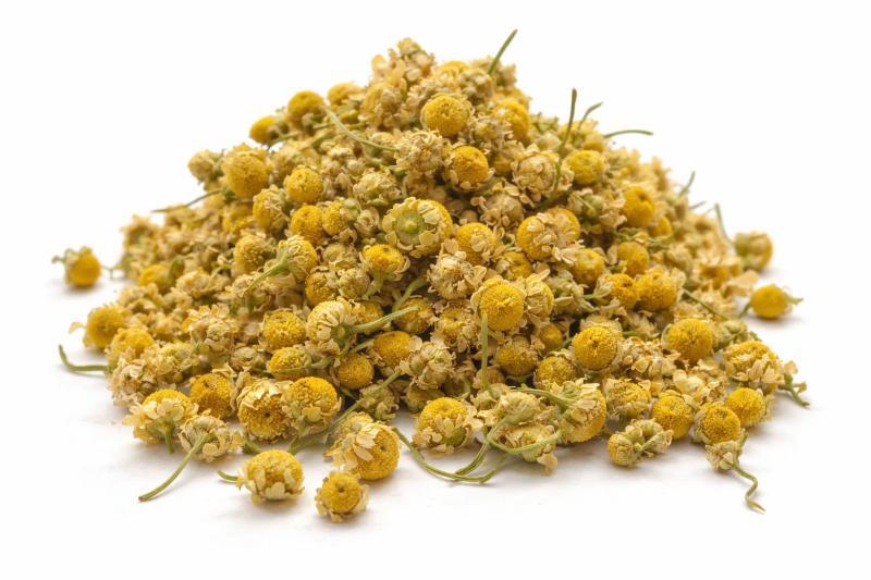 Matricaire Camomille – Capitules entiers