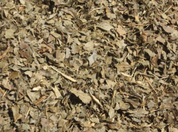 Ronce Feuille Coupée