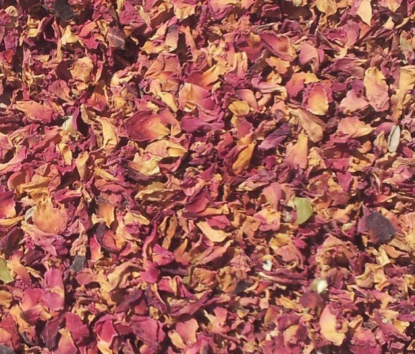 Rose pâle pétale