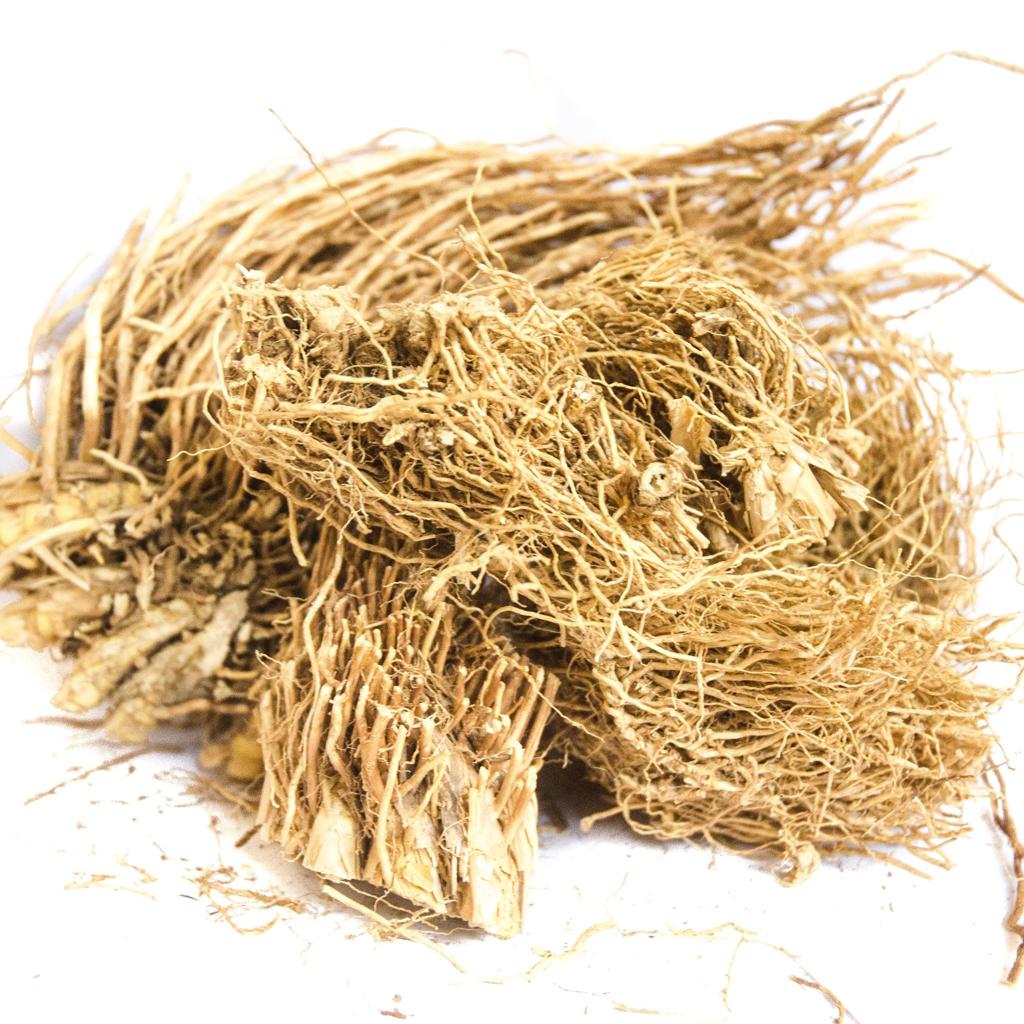 racines de vétiver (Vetiveria zizanioides)
