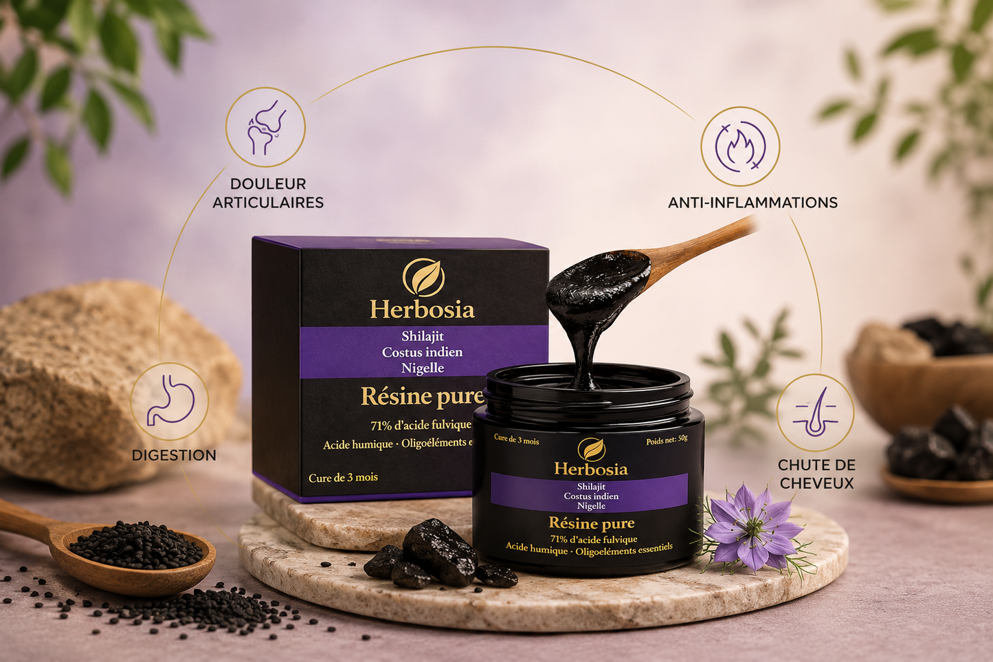 Shilajit Costus Nigella - Pure Resin Formula 50g - Natural Triple Extract Premium - French Quality