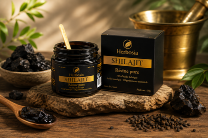 Shilajit résine pure
