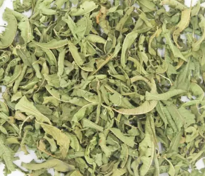 Verveine Feuille