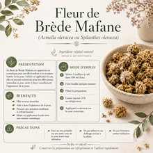 Brede Mafane fleur ou Acmella oleracea ou Spilanthes oleracea