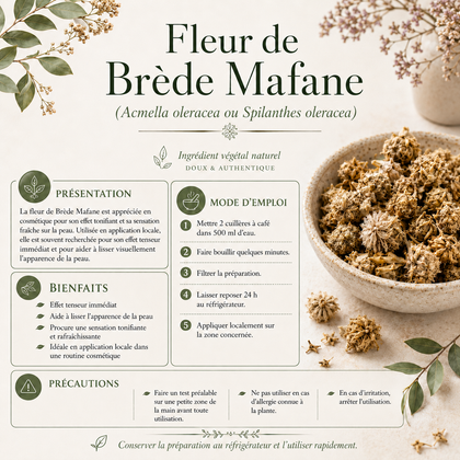Fleur de Brède Mafane (Acmella oleracea) – 50g