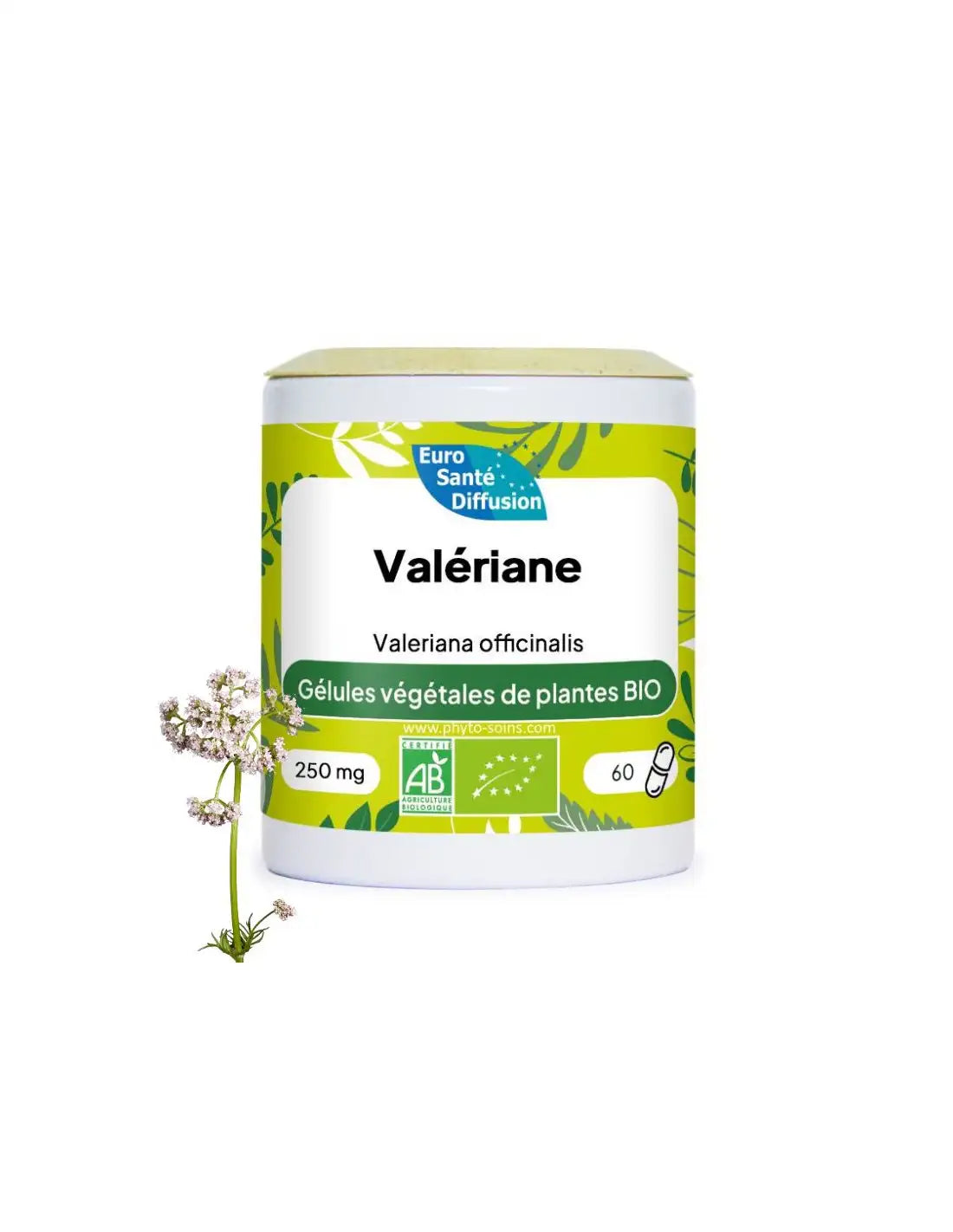 Valériane en gélules