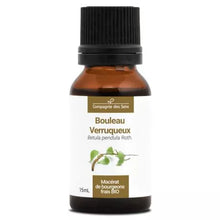 Macérat de Bourgeons de Bouleau Verruqueux