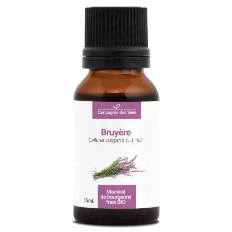 Macérat de Bourgeons de Bruyère Bio