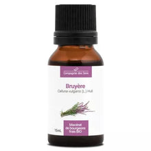 Macérat de Bourgeons de Bruyère Bio