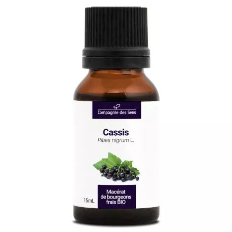 Cassis Macérat de Bourgeons Bio