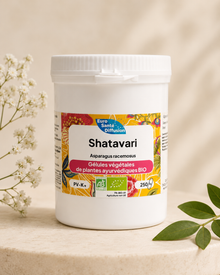 Shatavari gélules ayurvédique