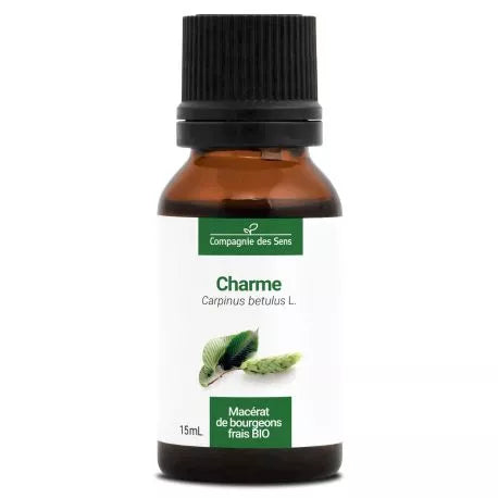 Charme Macérât de Bourgeons Bio