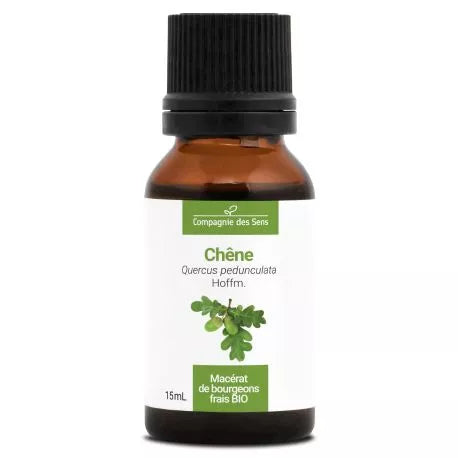 Chêne Macérat de Bourgeons Bio