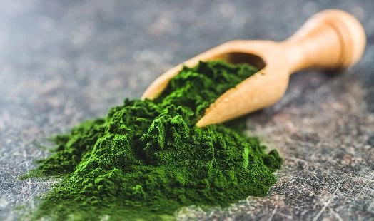 Chlorella en poudre