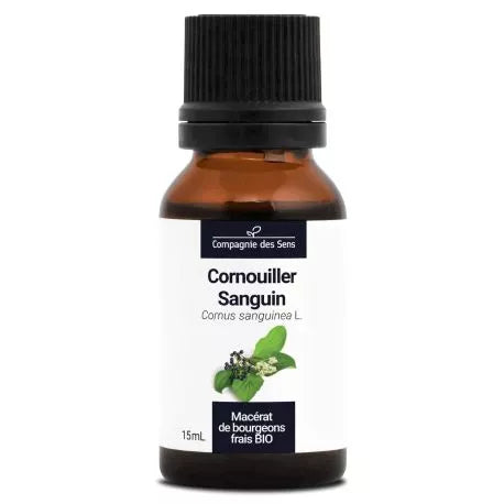 Macérât de Bourgeons de Cornouiller Sanguin