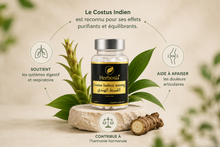 Herbosia – Costus Indien