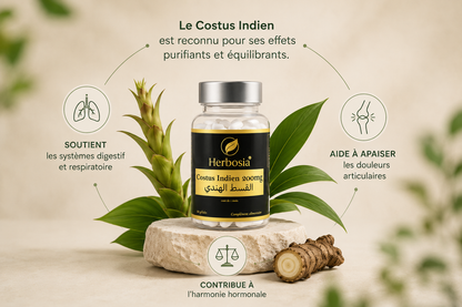 Herbosia – Costus Indien