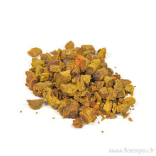 Curcuma Racine