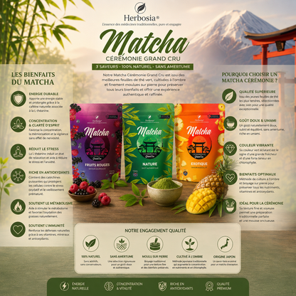 Matcha Cérémonie Grand Cru – Herbosia®  (Nature • Fruits Rouges • Exotique)