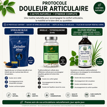 PROTOCOLE DOULEURS ARTICULAIRES CHRONIQUES 3 MOIS