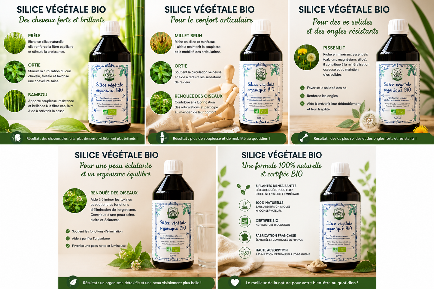 Silice Végétal  organique 100% plantes BIO DUFAYEL cheveux, confort articulaire et osseux